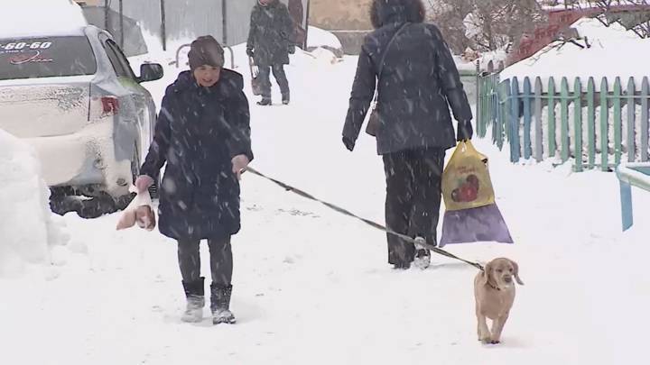 В Омске за 8 часов выпало рекордное количество снега