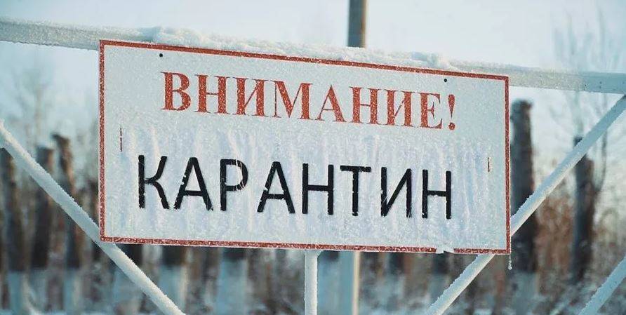Карантин по бешенству объявлен в селе Макарово Ярославской области