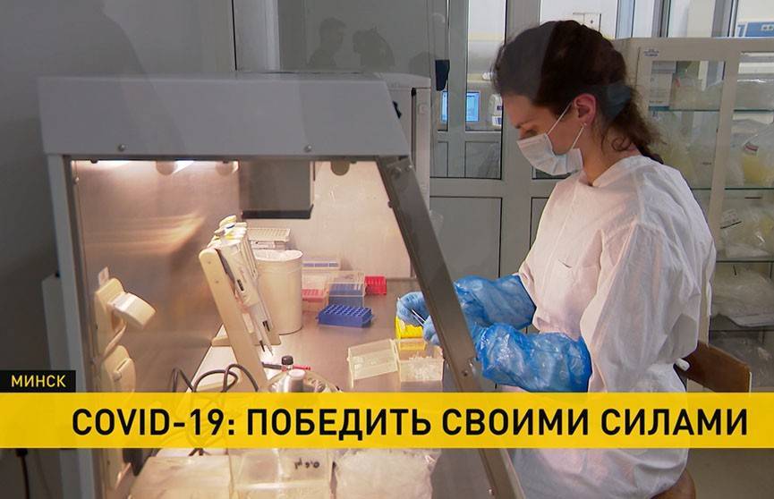 Победить COVID-19 своими силами: в белорусских лабораториях ежедневно проводят стони исследований