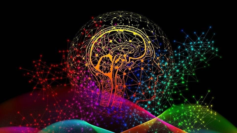 Мозг может искажать воспоминания человека ради более эффективной работы памяти