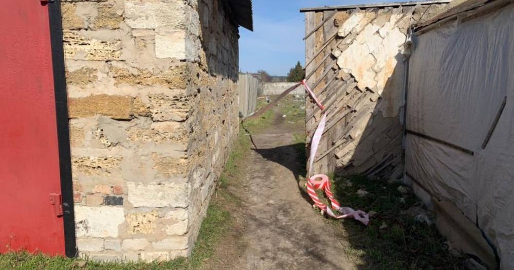 Новые подробности исчезновения 7-летней девочки в Херсонской области: тело могли прятать (фото)