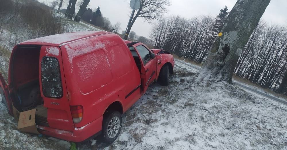 Очевидцы: по дороге в Ладушкин машина из-за сильного ветра съехала в кювет (фото)