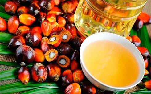 Пальмовое масло подорожало до максимума за 13 лет
