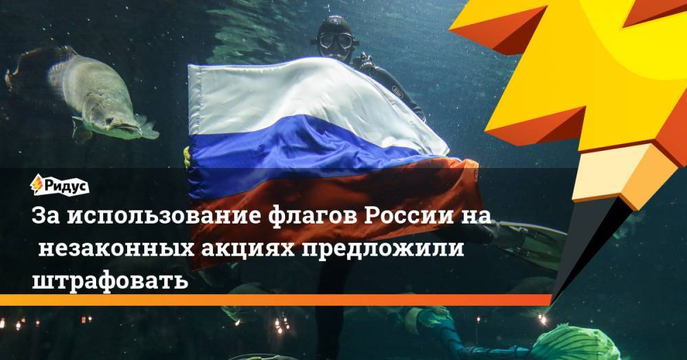 Заиспользование флагов России нанезаконных акциях предложили штрафовать