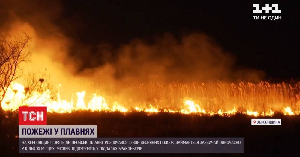 В Херсонской области горят Днепровские плавни: видео