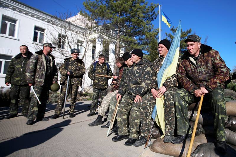 "Три кота?": В Крыму высмеяли стратегию Украины по "деоккупации" полуострова