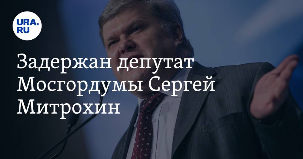 Задержан депутат Мосгордумы Сергей Митрохин