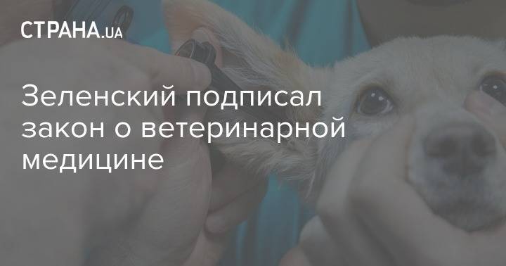 Зеленский подписал закон о ветеринарной медицине