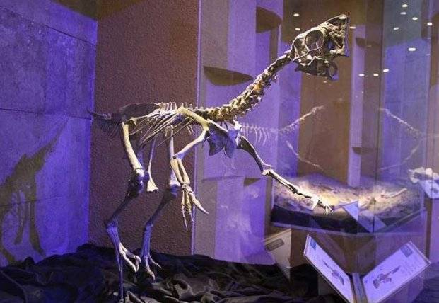 В Китае нашли окаменелое гнездо с динозавром, который высиживает яйца