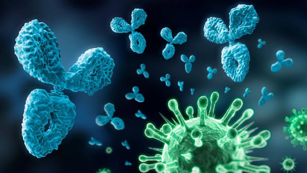 Иммунолог объяснил, почему можно заболеть коронавирусом при высоком уровне антител