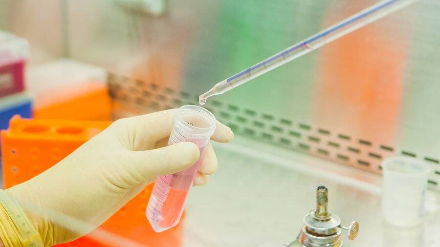 Минздрав разрешил исследования первого в РФ биомедицинского клеточного продукта