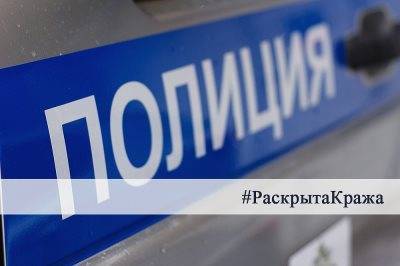 В Ульяновской области транспортные полицейские раскрыли кражу, совершенную в поезде