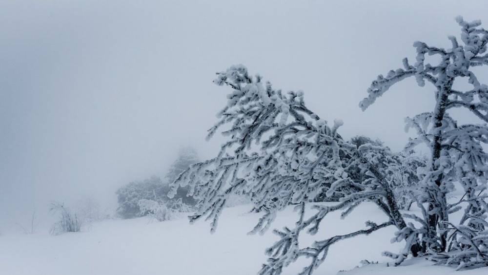 Несколько туристических групп в Заполярье оказались в снежной ловушке