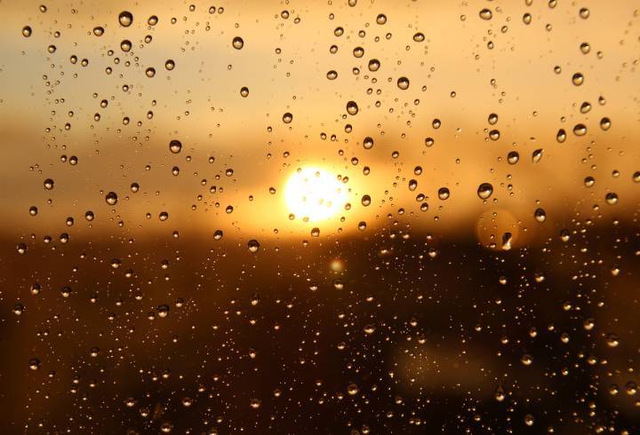 Дождь подпортит долгожданное тепло в Петербурге