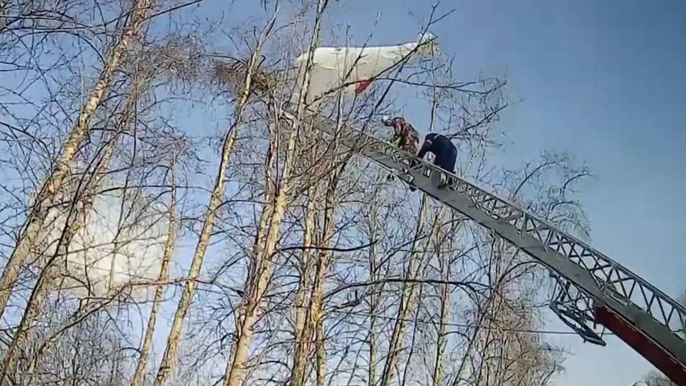 Спасатели помогли спуститься с дерева застрявшему парашютисту.