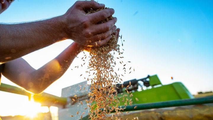 Россия ввела экспортные пошлины на кукурузу и ячмень