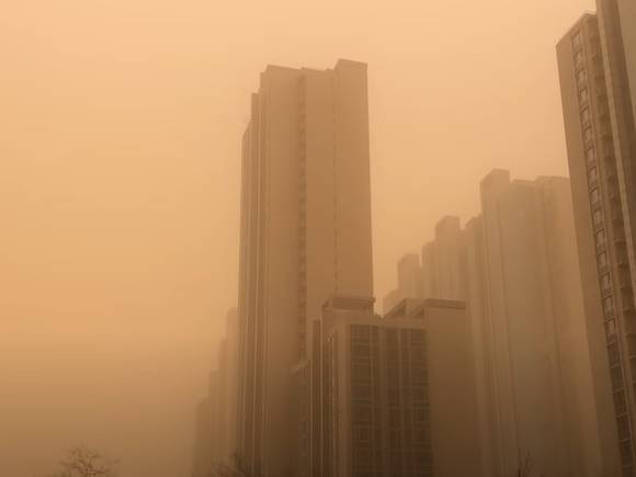 Накрывшая Китай песчаная буря добралась до России — желтеет небо приграничных городов