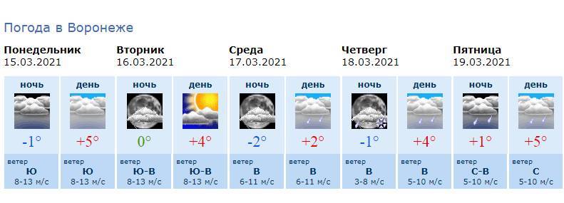 На рабочей неделе в Воронеже вновь ожидают снег