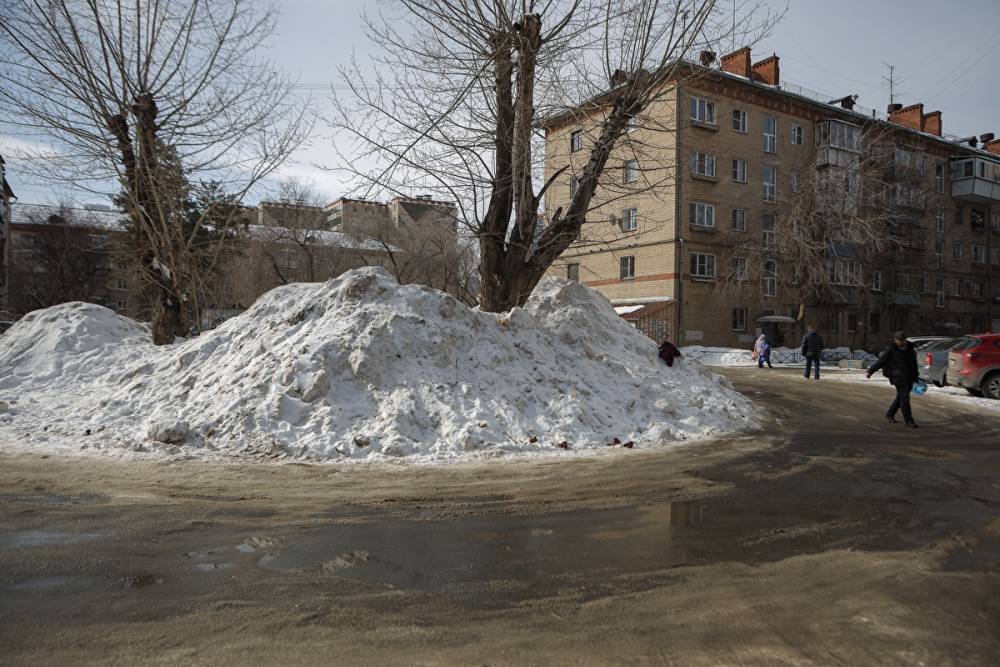 Во дворах Челябинской области растут горы снега: на управляющие компании подано 270 жалоб