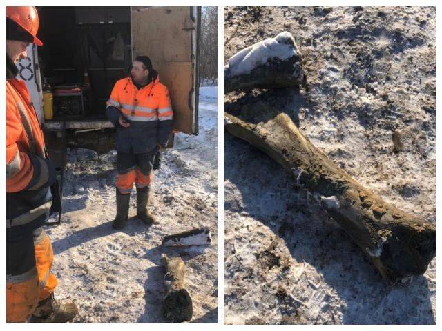 Рабочий рассказал, как в центре Кемерова нашёл кости мамонта