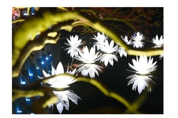 В парке «Краснодар» убирают светящиеся лотосы