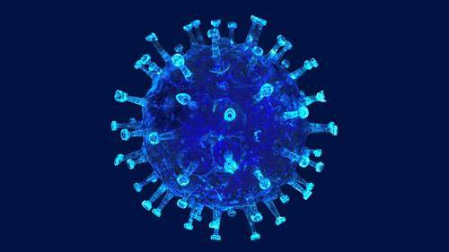 На северо-западе Франции обнаружили новую мутацию коронавируса