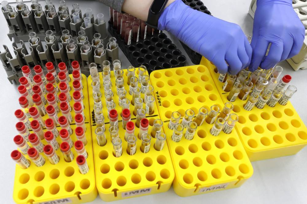 Более 200 новых случаев коронавируса выявлено в СКФО