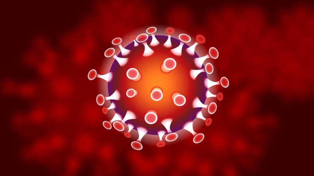 Российские ученые создают "домашний" прибор для выявления антител к коронавирусу