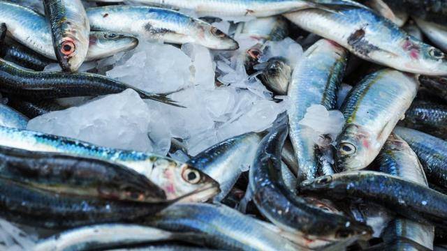 В Росрыболовстве опровергли сообщения о повышении цен на рыбу