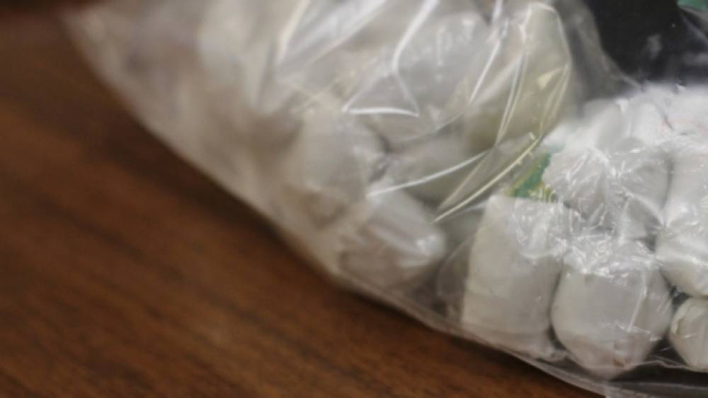Полиция изъяла больше килограмма наркотиков в квартире жительницы Ленобласти