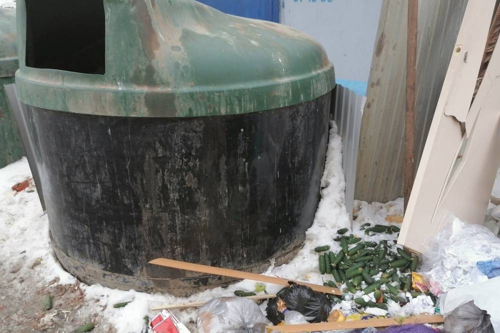 В Оренбурге около мусорки кто-то оставил несколько килограммов огурцов