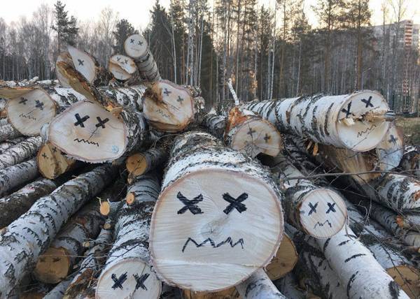 На Южном Урале на пенсионерку завели уголовное дело из-за вырубки деревьев