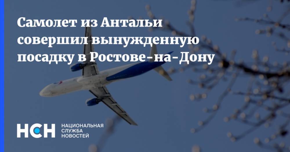 Самолет из Антальи совершил вынужденную посадку в Ростове-на-Дону