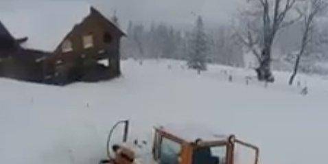 Высокогорье Карпат замело снегом, засыпаны проезды к селам — видео