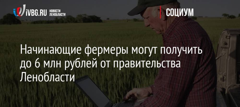 Начинающие фермеры могут получить до 6 млн рублей от правительства Ленобласти