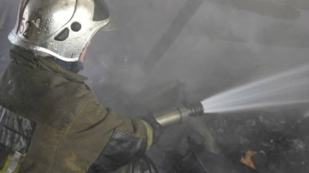 Оставшаяся одна дома трехлетняя девочка погибла при пожаре под Москвой