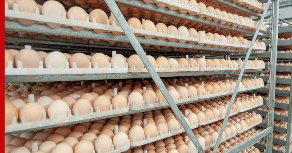 В России договорились о сдерживании роста цен на мясо птицы и яйца