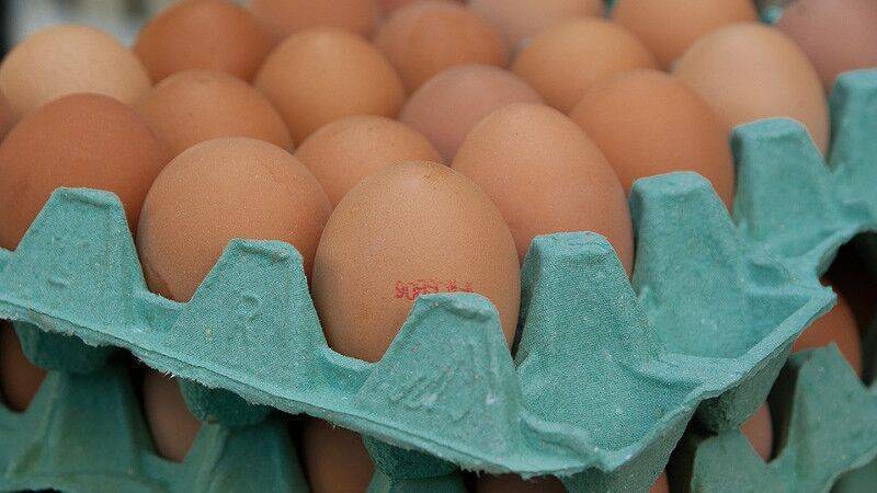 Птицеводы в России договорились о контроле цен на мясо птицы и яйца