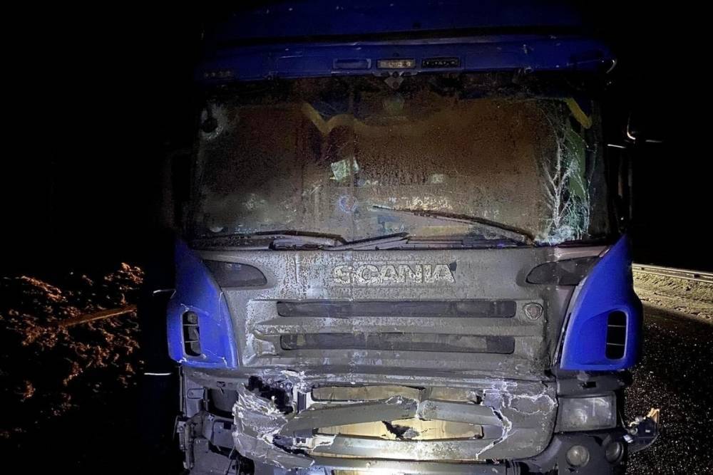 Двух водителей, находящихся между автомобилями, насмерть придавила фура в Ковровском районе