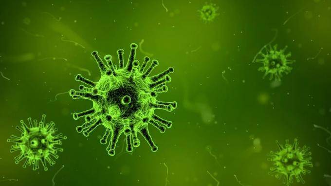 Учёные выявили в кишечнике человека порядка 140 тысяч новых вирусов