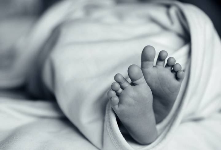 В Колпино дворник нашла труп новорожденного младенца