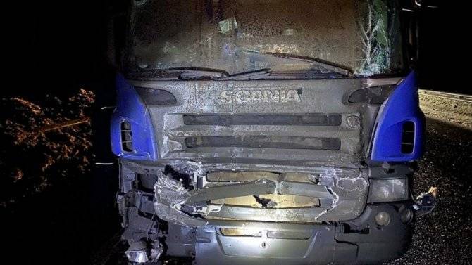 Во Владимирской области большегруз насмерть сбил двух водителей