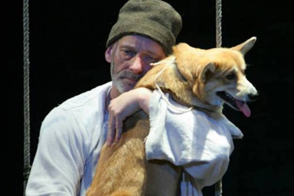 Малому драматическому театру Петербурга требуется новая собака на роль Муму