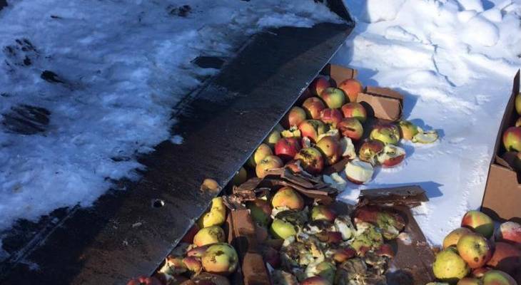 В Канаше раздавили почти тонну импортных яблок