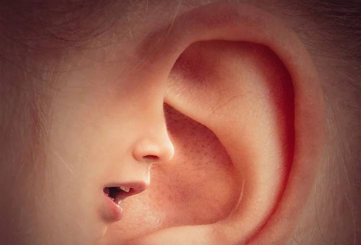 ВОЗ: четверть жителей Земли будут иметь проблемы со слухом к 2050 году