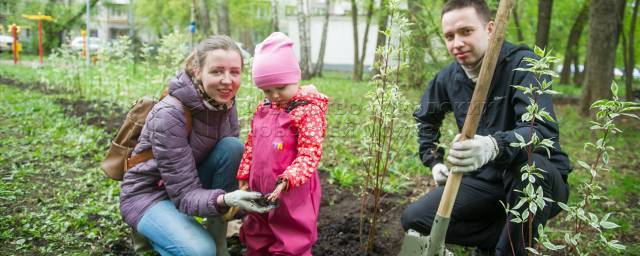 Москвичи подали 1,5 тысячи заявок на участие в проекте «Наше дерево»