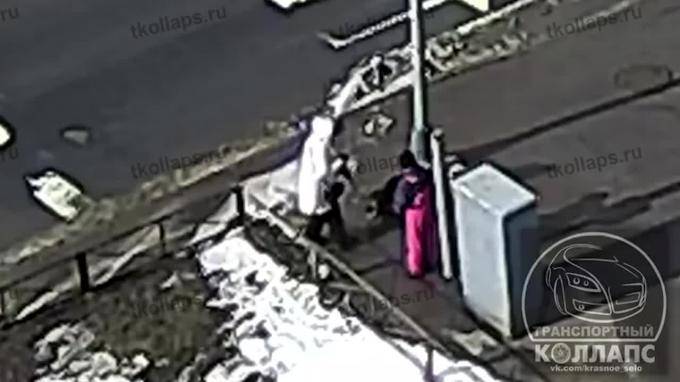 Появилось видео того, как светофор в Петербурге убил собаку током