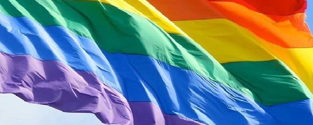 Подростков-косплееров в Петербурге задержали из-за флага ЛГБТ