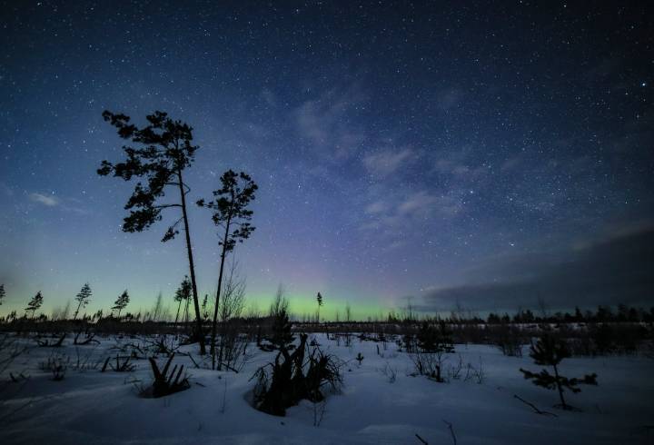 Фотограф вновь запечатлела северное сияние над Ленобластью