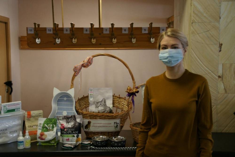 В Красногорске для бездомных животных собрали 200 килограммов корма